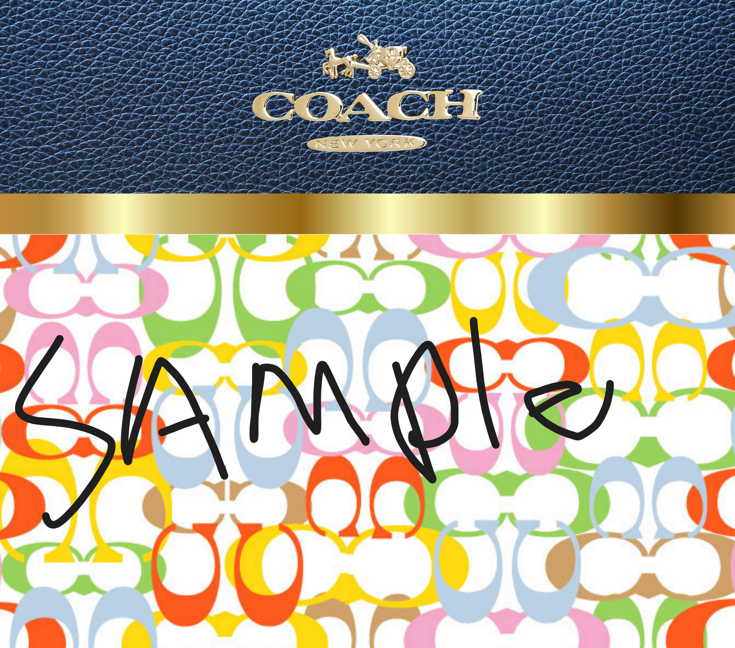 Coach Blue Multi